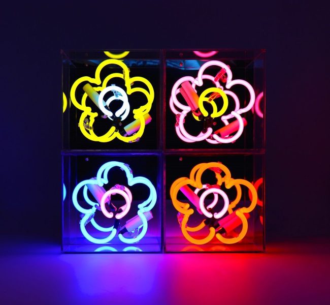 Daisy Neon Box